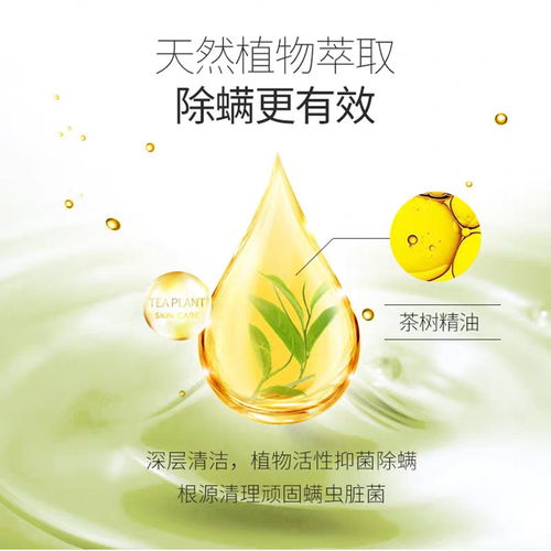 朵拉朵尚小綠皂 植物精華去除螨蟲，守護肌膚清爽無痘